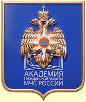 Академия гражданской защиты МЧС России, металлизация